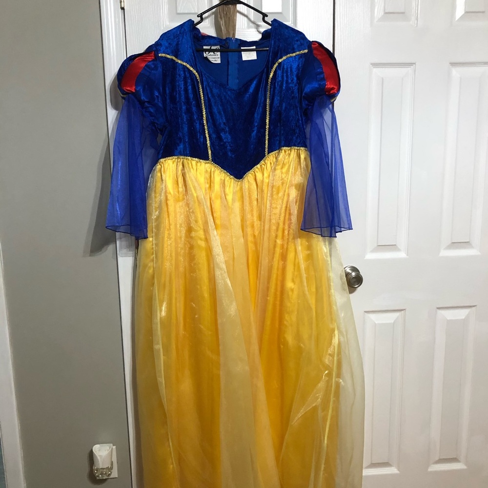Snow White Costume Plus Size!